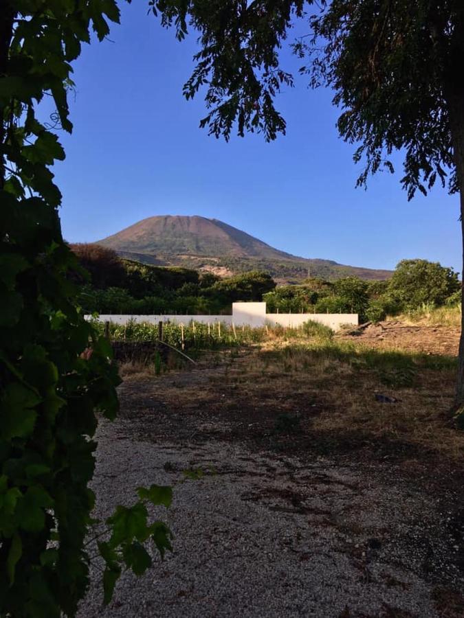Villa Mazza Al Vesuvio Torre del Greco Luaran gambar