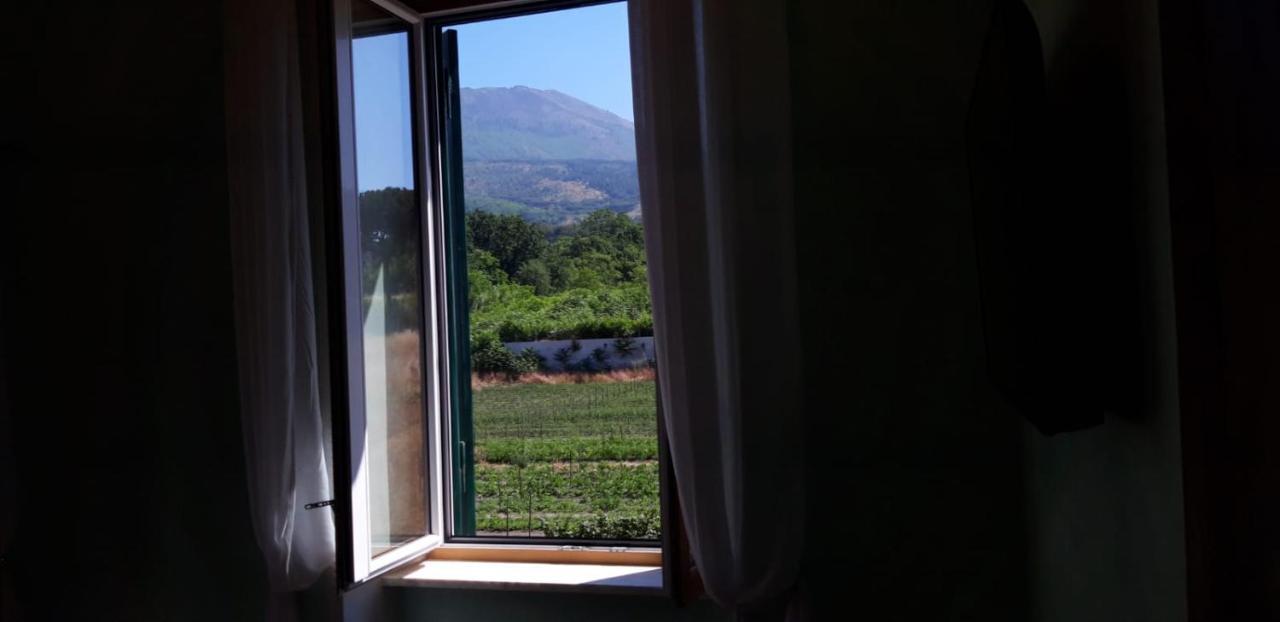Villa Mazza Al Vesuvio Torre del Greco Luaran gambar